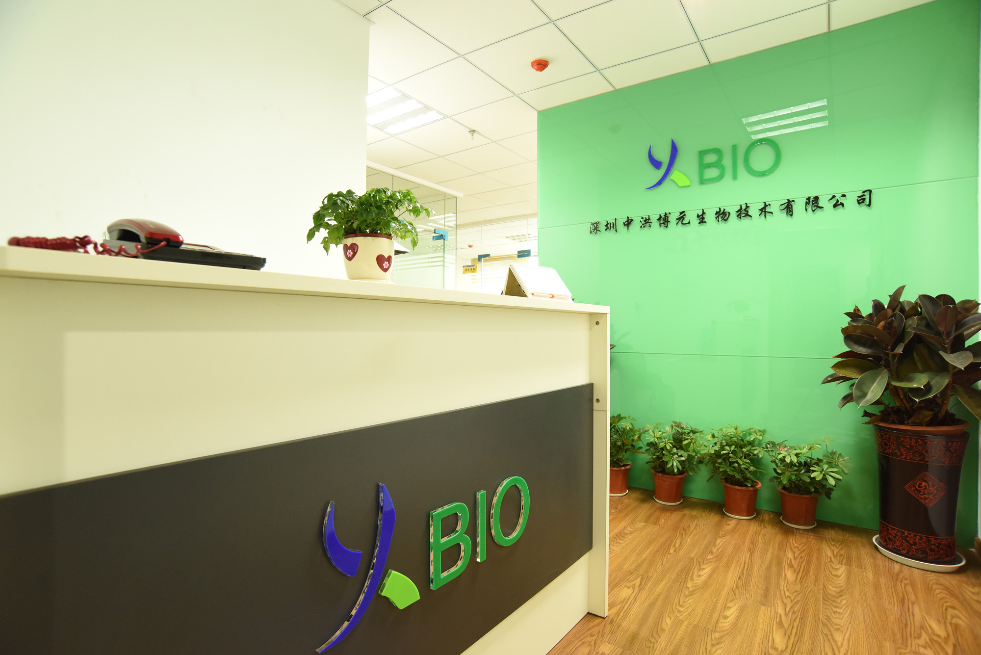 深圳中洪博元
